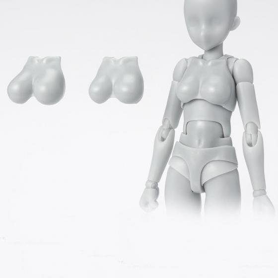 Body-Chan [School Life] Edition DX SET (Gray Color Ver.) S.H.Figuarts Bandai Figure