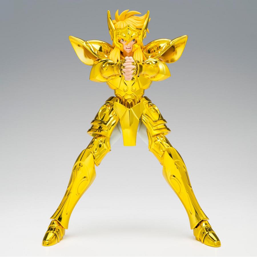 Saint Seiya / Figure Aquarius Hyoga -Inheritor of the Gold Cloth- Saint Cloth Myth